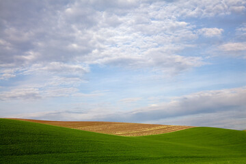 Clouds in blue sky over rolling hillside