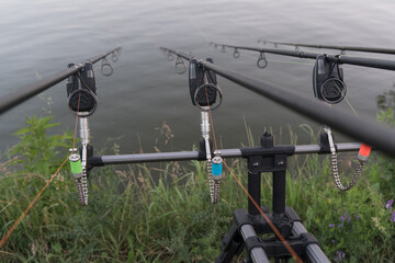 Looking along three carp rods towards a pond. Carp fishing.