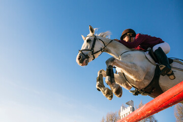 Low angle view of girl riding white horse while jumping over hurdle during training obstacle course against clear blue sky