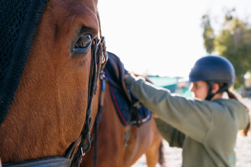 Close-up portrait of brown horse by teenage girl adjusting saddle on training ground