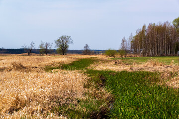 Piękny słoneczny dzień w Dolinie Górnej Narwi, Podlasie, Polska © podlaski49
