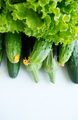 Set of seasonal vegetables: fresh salad, cucumbers and eggplant on top, on a light background. Healthy nutrition, comfortable digestion, weight loss. Seasonal, farm vegetables close-up. Import, rise 
