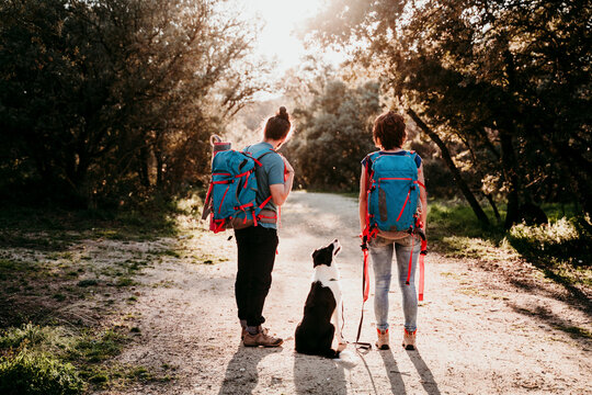Couple with dog on a hiking trip