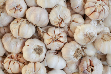 close up of garlic on market