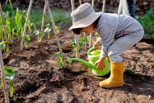 Full length side view of cute girl watering seedling at orchard