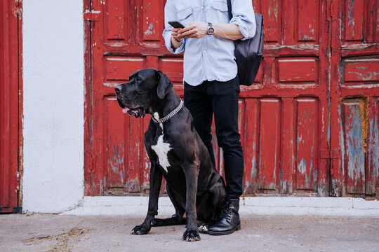Crop view of young man with cell phone waiting with his dog in front of an old red wooden door