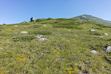 Fototapeta na wymiar Panorama around Belmeken peak, Rila mountain