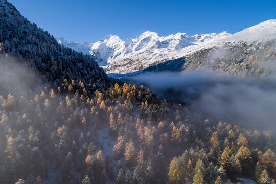 Switzerland, Canton of Grisons, Saint Moritz, Drone view of fog floating over forested valley of Morteratsch Glacier in autumn