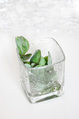 Green fresh leaves in a square glass with drops on glass. White background with blurry sparkles in the upper third, saturated leaves, healthy lifestyle cocktail. Vertical picture photography.