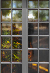 A look through a grey window frame to the ember and yellow leaves of a palm plant.