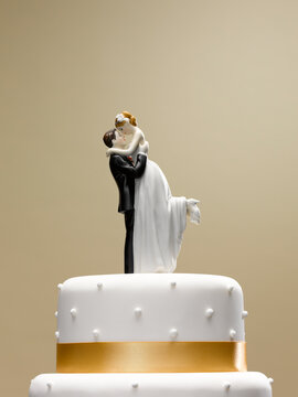 Bride and groom topper on wedding cake