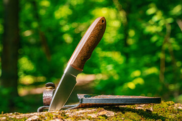 Hunting knife on a stump in a forest camp - obrazy, fototapety, plakaty