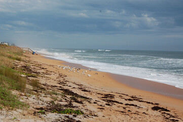 Beautiful beach waves crashing on seashore 