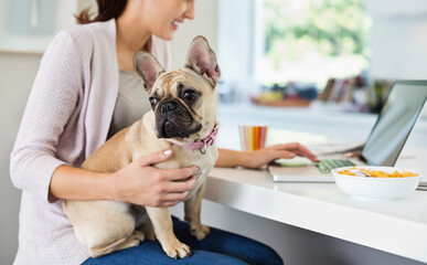 Woman using laptop with dog on lap