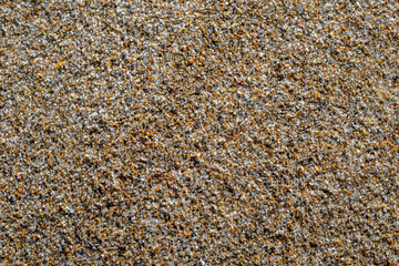Sand texture and background.Sand on the beach in the background.Sand texture. Sandy beach for black background.Sand of a beach in summer.Macro shot.Copy space