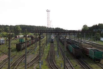 Fototapeta na wymiar Many railway tracks, one single old electric train arrives at the railway station. Around a lot of freight cars, green summer trees.
