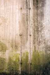 Abstract concrete and algae texture