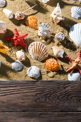 Wooden brown jetty on the sandy shore of a sea beach full of different shells.