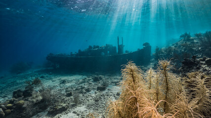 Ship wreck 