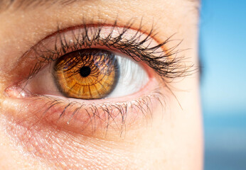 macro photography of a female eye. Human eye texture. eye pupil. Human eyelashes. Brown eye close-up. Eye background.