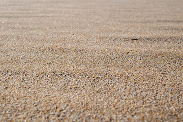 Sand texture and background.Sand on the beach in the background.Sand texture. Sandy beach for black background.Sand of a beach in summer.Macro shot.Copy space