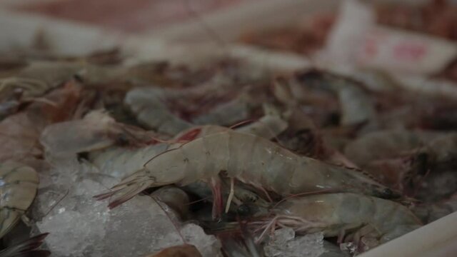 Man selling shrimp in a Seafood market