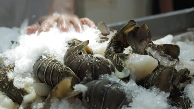 Fish Market shellfish stand