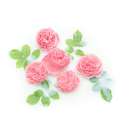 Pink roses flower milk Minimal floral flat lay background