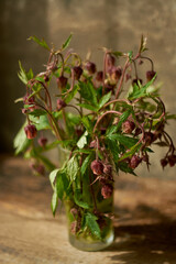 Beautiful photo of wildflowers in a glass with a blurred background.