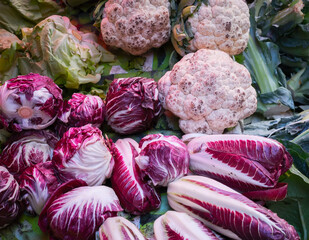 Cabbage in the street market