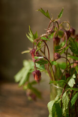 Beautiful photo of wildflowers in a glass with a blurred background.