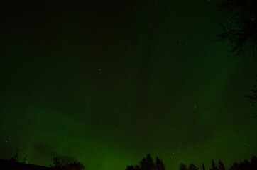 strong green aurora borealis and bright stars on autumn night