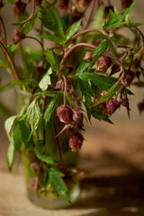 Beautiful photo of wildflowers in a glass with a blurred background.