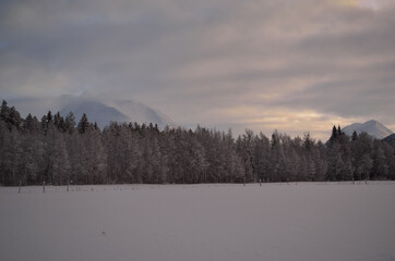 pink dawn sky over frost ice and snowy winter forest and field landscape