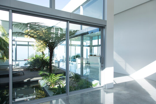 Plants growing in modern courtyard