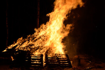massive bonfire in winter night birch tree forest