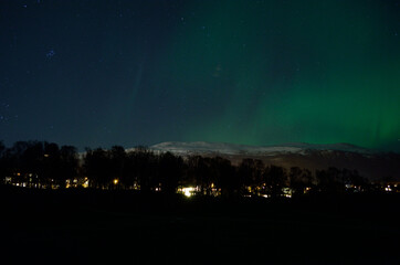 Fototapeta na wymiar aurora borealis over tree line