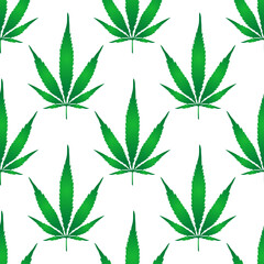 vector image of cannabis leaf. Cannabis leaf background