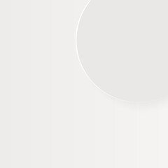 Obraz premium White and Gray Background, 3D Circle Product Photography Flat Lay, Shadow, Neutral Vector Abstract Illustration Background