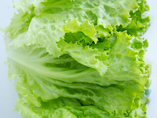 New crop: fresh lettuce leaves closeup. Comfortable digestion, proper nutrition, weight loss. The texture of vegetables, lettuce. Seasonal Vitamins