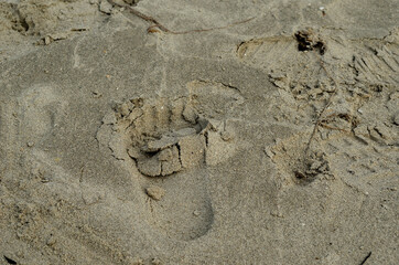 foot prints in white beach sand