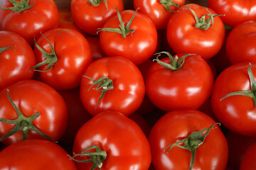 Red tomatoes on market stall