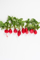 Red radishes on white background