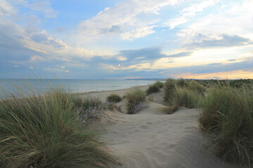 Natural and wild beach with a beautiful and vast area of dunes, Camargue region in the South of Montpellier, France

