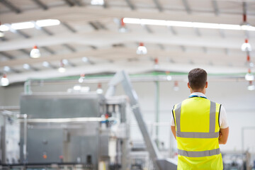 Worker standing in factory
