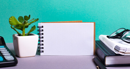 A calculator, pen, notebook, flower in a pot and diaries are on the desktop. Place to insert text....