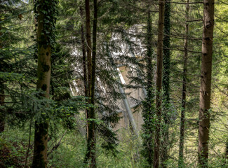 Fototapeta premium avalanche barrier in the mountains