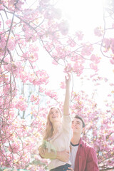 Man lifting girlfriend to reach pink flowers on tree