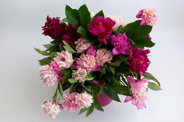 a bouquet of pink peonies. spring may flowers