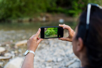 Photographer woman taking photos in nature with cell phone